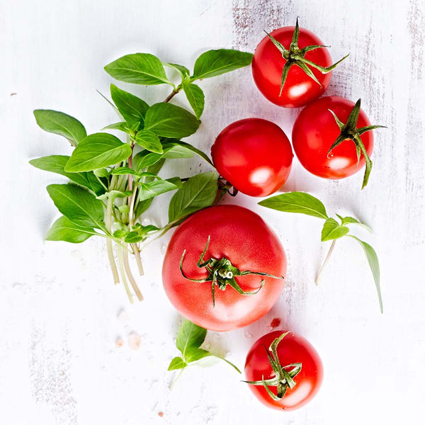 Fresh Basil & Heirloom Tomato Fragrance Oil - Zoom Media 1