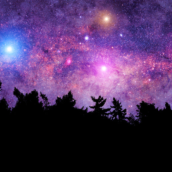Beneath the Stars Fragrance Oil 341