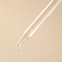 Cactus Extract - Water Soluble - close-up