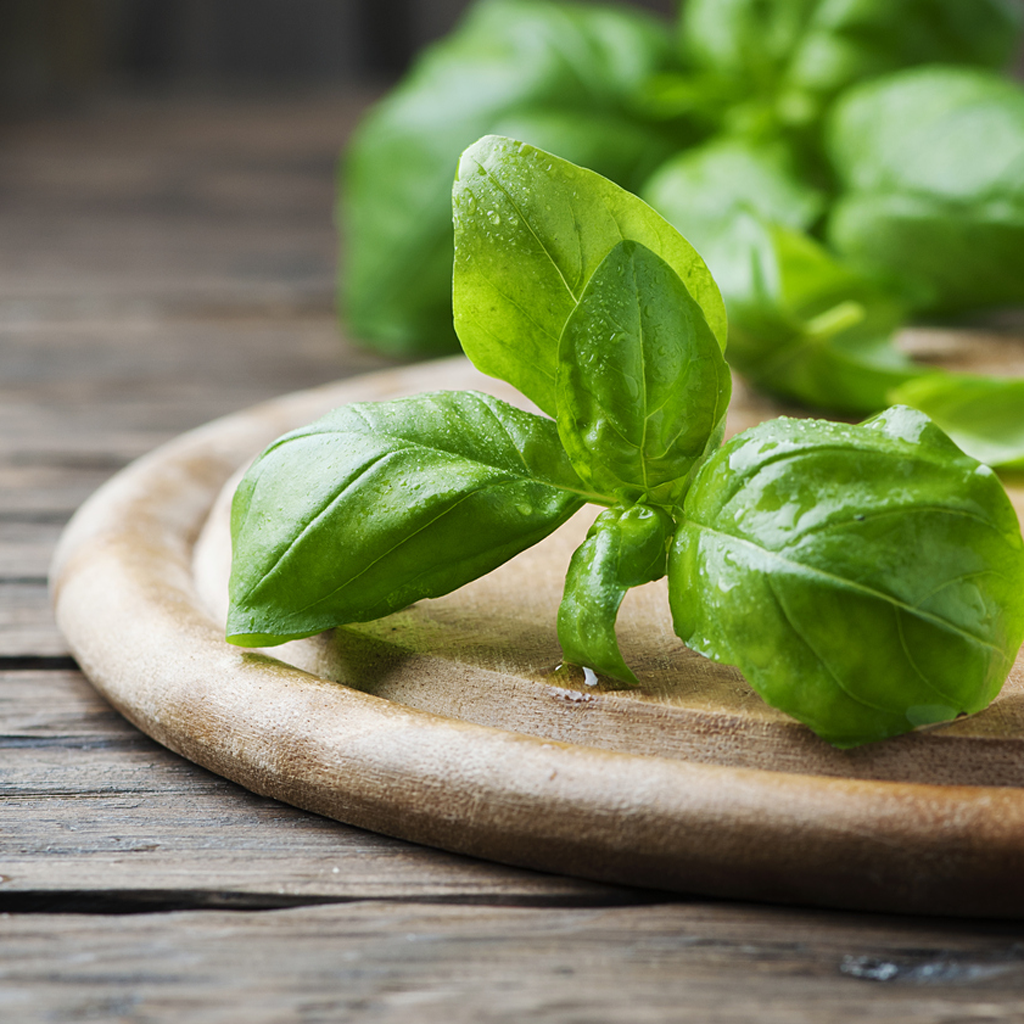 Basil Essential Oil - 100% Pure 1048 - Crafter's Choice - Essential ...