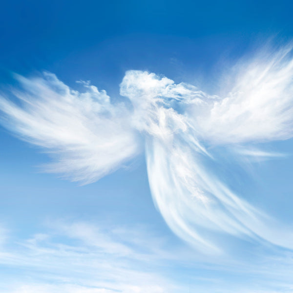 Heavenly Fragrance Oil 368