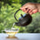 White Tea Fragrance Oil 381