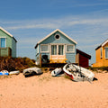 Beach House Fragrance Oil 166