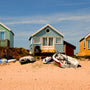 Beach House Fragrance Oil 166