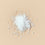 Dead Sea Salt - Fine Grain