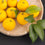 Yuzu ORIGINAL - EO & FO Blend 537