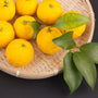 Yuzu ORIGINAL Essential Oil and Fragrance Blend 537