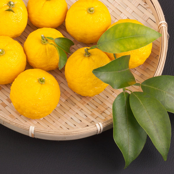 Yuzu ORIGINAL - EO & FO Blend 537 - Crafter's Choice - Fragrance