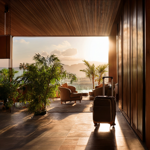 Terra & Timber Fragrance Oil 905