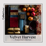 Velvet Harvest Fragrance Oil Collection - Zoom Thumbnail Media 1