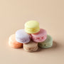 Silicone 6 Cavity Macaron Mold