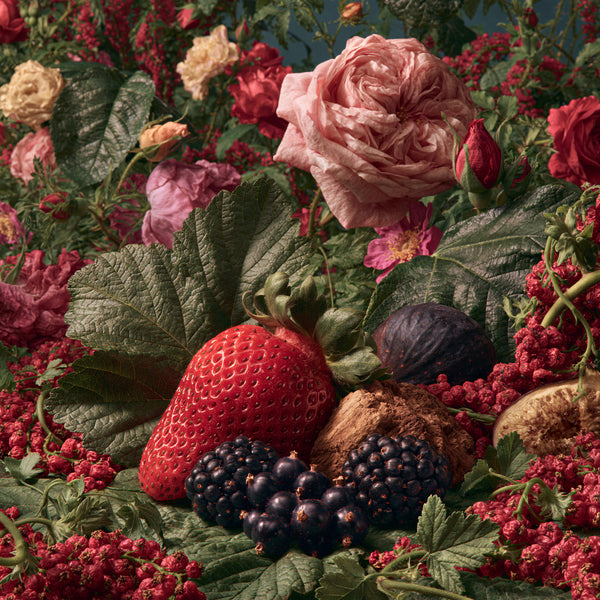 Blooms & Black Currants Fragrance Oil 1018 - Zoom Media 1