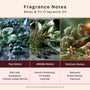 Moss & Fir Fragrance Oil 1072 - Zoom Thumbnail Media 2