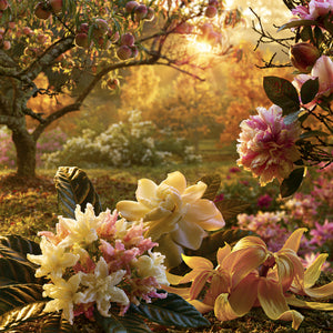 Peach Skin & Pomegranate Fragrance Oil 1079 - Featured Image