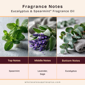Eucalyptus & Spearmint* Fragrance Oil 101 - Secondary Image