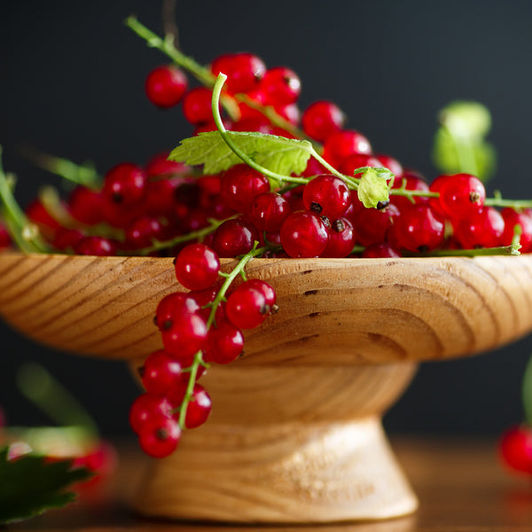 Red Currant & Thyme - EO & FO Blend