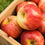 Country Apple* Fragrance Oil 476