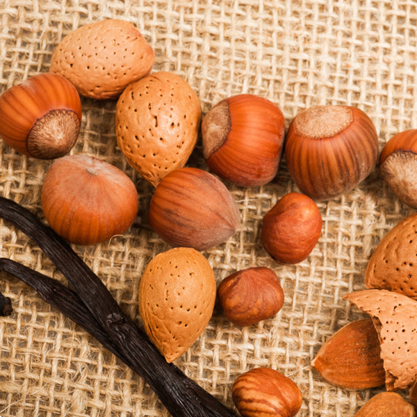 Vanilla Hazelnut Fragrance Oil 469