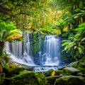 Rainforest Fragrance Oil 502
