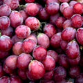 Grape Fragrance Oil 549