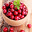 Cranberry Fragrance Oil 282