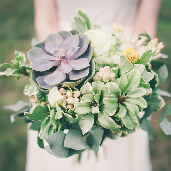 Vera Wang* Fragrance Oil (Special Order)