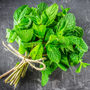 Peppermint (Natural) Essential Oil - 100% Pure 712