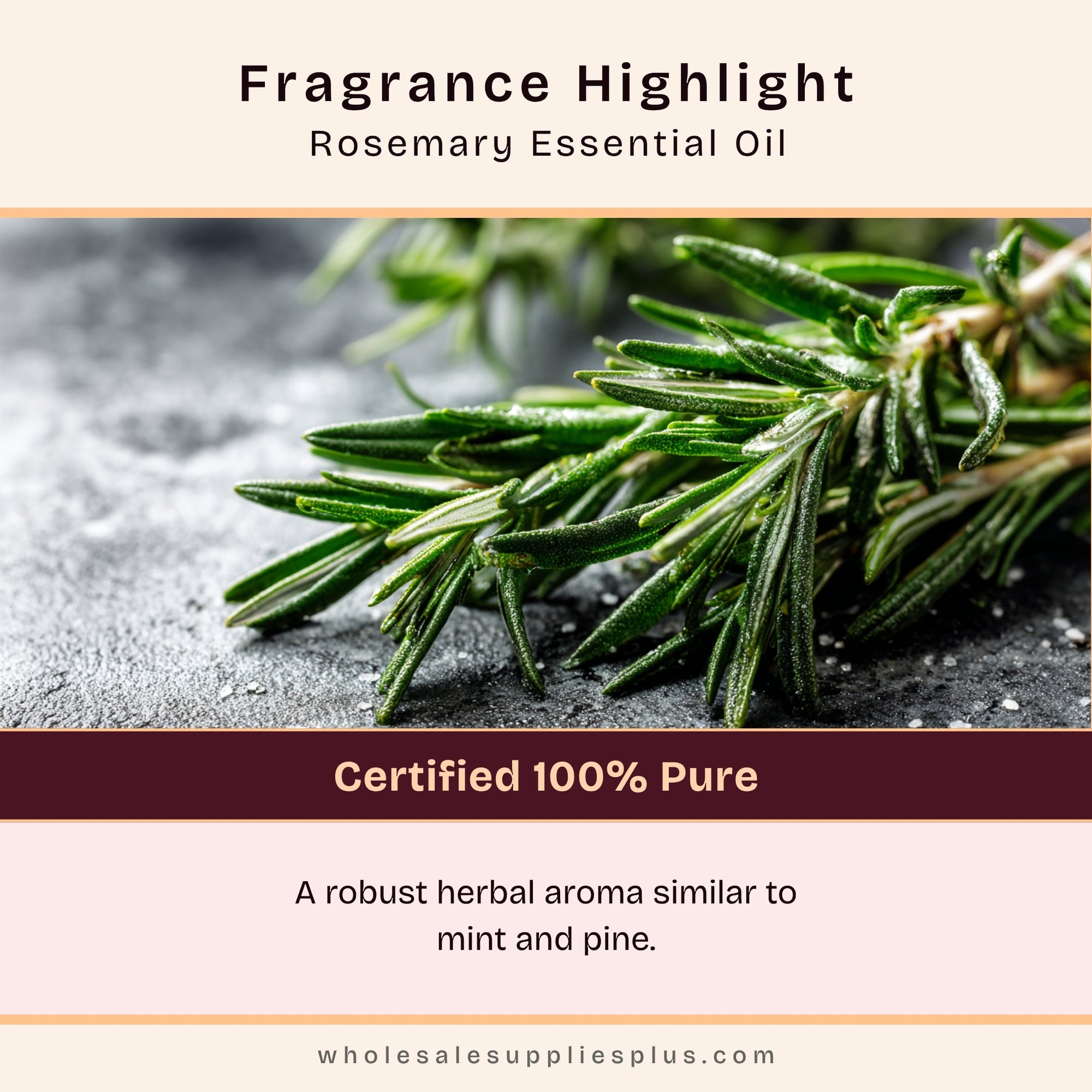Rosemary Essential Oil - 100% Pure 714 - Crafter's Choice