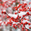 Holiday Berry* - EO & FO Blend 512