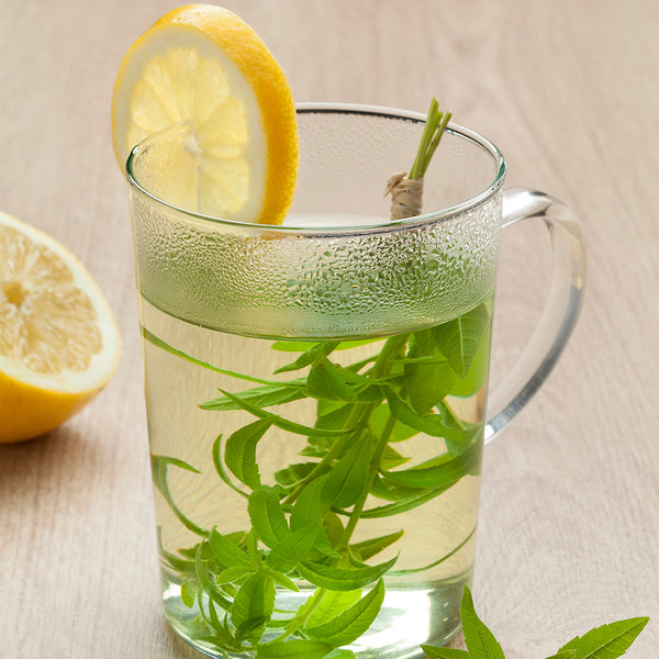 Verbena & Lemon Fragrance Oil 574