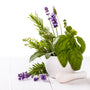 Lavender & Basil Fragrance Oil 629