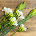Freesia Fragrance Oil 150