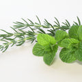 Revitalizing Rosemary Mint Fragrance Oil 209