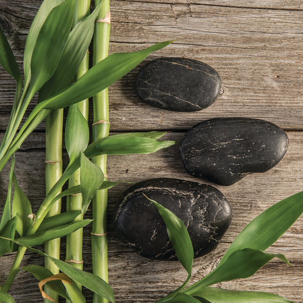 Bamboo Teak Fragrance Oil 283