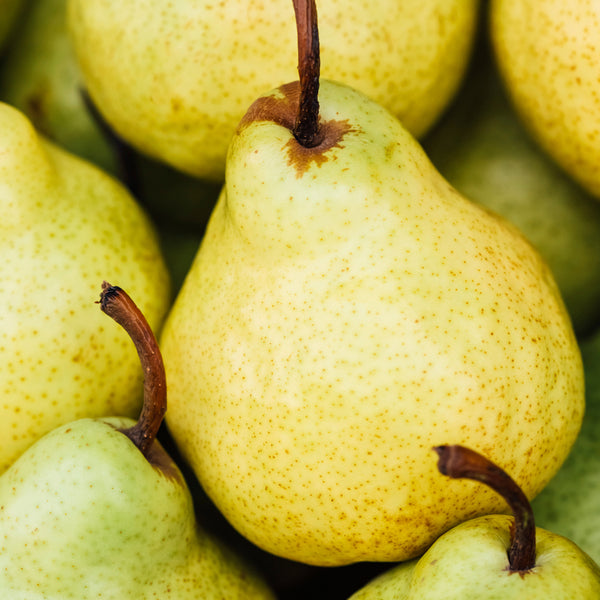 Sweet Juicy Pear Fragrance Oil 231 - Crafter's Choice - Fragrance