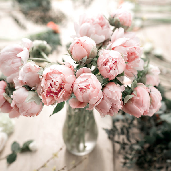 Peony Fragrance Oil 424