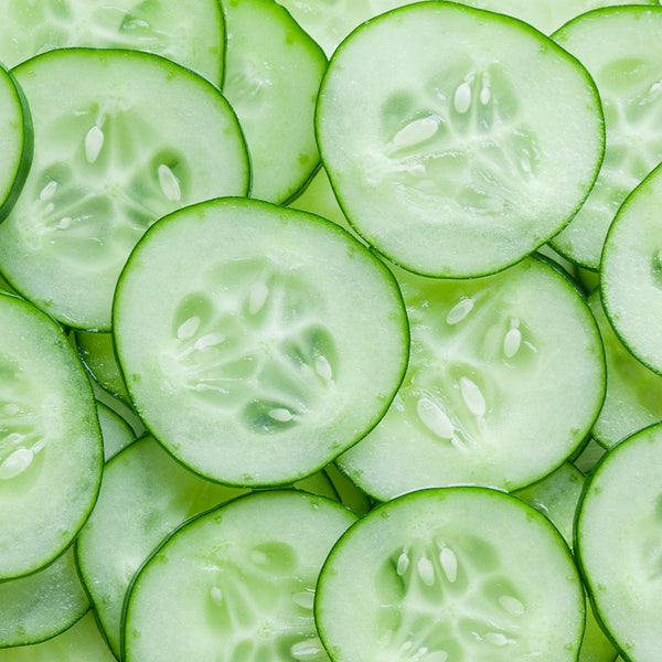 Cool Cucumber Fragrance Oil 186