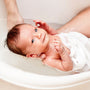 Baby Bee Buttermilk Fragrance Oil 442