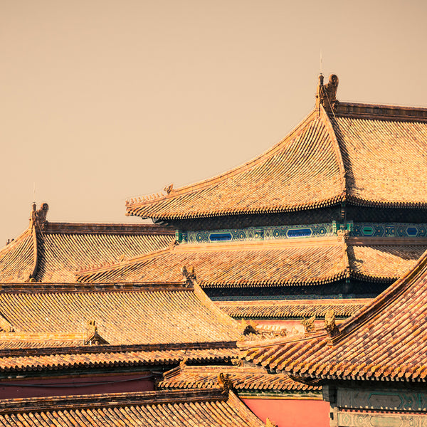 Indonesian Teakwood Fragrance Oil 369