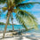 Caribbean Escape* Fragrance Oil 495