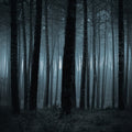 Twilight Woods for Men* Fragrance Oil 693