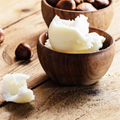 Shea & Coconut Fragrance Oil 638