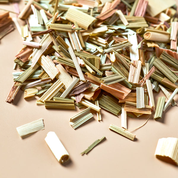 Lemongrass - Botanical