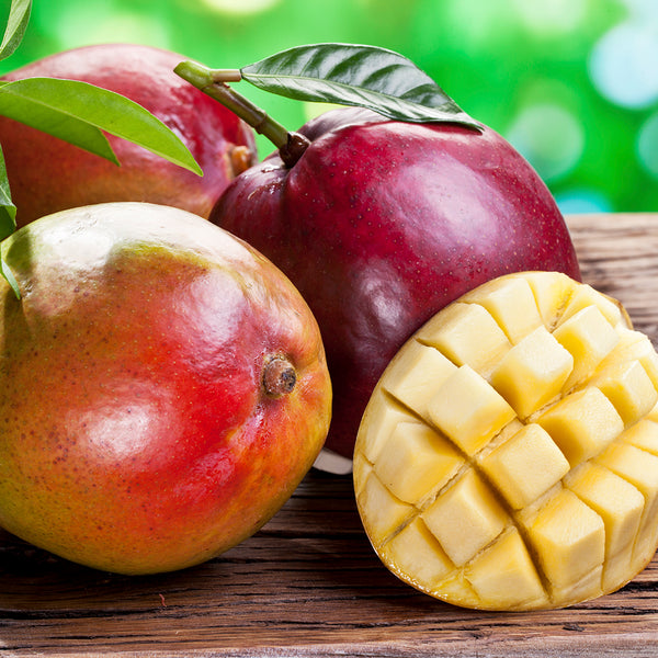Apple Mango Tango* Fragrance Oil 524