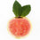 Guavaberry Goji Fragrance Oil 760