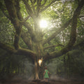 Mystical Woods Fragrance Oil 763