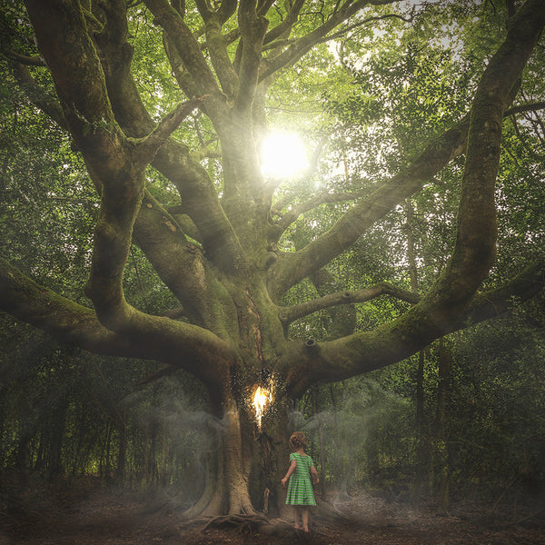 Mystical Woods Fragrance Oil 763