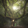 Mystical Woods Fragrance Oil 763