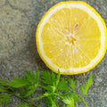 Lemon Seed & Parsley Fragrance Oil 577