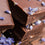 Chocolate Lavender Fragrance Oil 601
